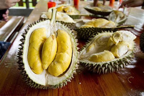 OWEN YAP: A Malaysian Heartthrob Ignites Controversy at the Penang Durian Festival!